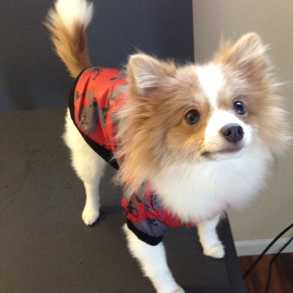 Dog Jacket REVERSIBLE Hooded Fauxfur Pink Camo Camouflage Puffy Puffer Coat New - Picture 8 of 8